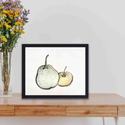 Discover the beauty of Asian Pears in this vintage art print by Kono Bairei,placed on the wall