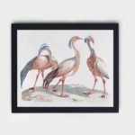 Experience the grace of cranes with this vintage art print by Johan Teyler,placed on the wall