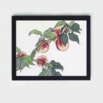 This stunning vintage art print of a caterpillar on a peach tree by Morimoto Toko,framed and placed on the wall