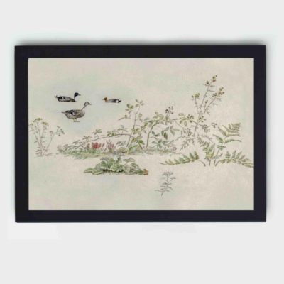 Plants and waterfowl by Knip,displayed on the wall with black frame