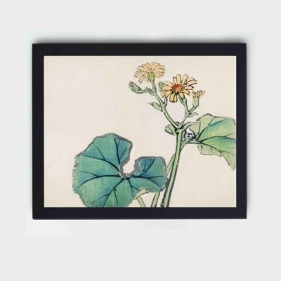 the captivating beauty of a Leopard Plant in this vintage art print by Kono Bairei,placed on the wall