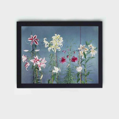 Enhance your decor with this stunning vintage art print of a lily by Kazumasa Ogawa,placed on the wall