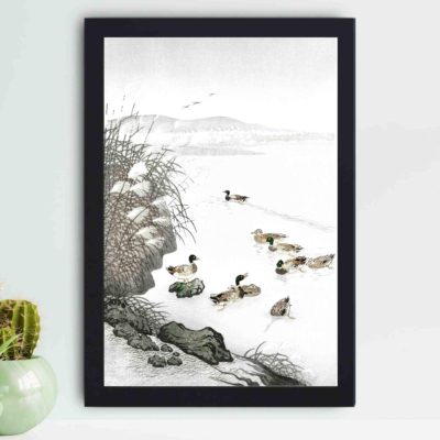 Discover the serene beauty of Ducks in the Water in this vintage art print by Ohara Koson.