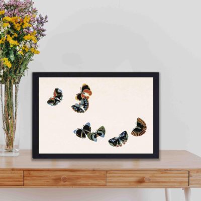 Experience the beauty of nature with this Kamisaka Sekka butterfly woodblock print,Placed on a table