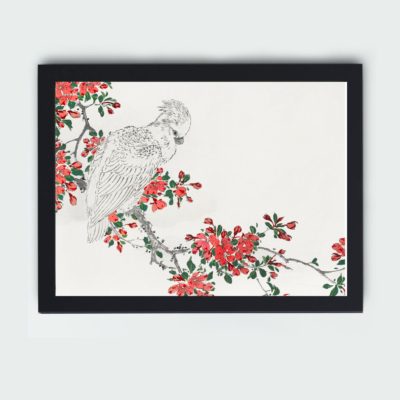 vibrant world of birds with this Numata Kashu parrot and Pyrus spectabilis art print,mounted on the wall