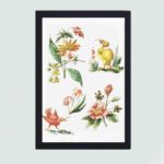 Elegant floral art print with birds. Giacomo Cavenezia's 18th-century masterpiece,mounted on the wall