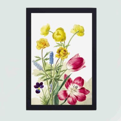 This stunning print by Willem van Leen. A vibrant bouquet of tulips and other flowers, mounted on the wall