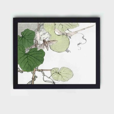 beauty of nature with this stunning vintage art print of a moth by Morimoto Toko,displayed on the wall