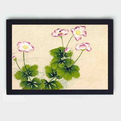 Beauty of Mallow flowers in this exquisite vintage art print,mounted on the wall