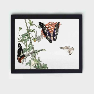 this stunning vintage art print of butterflies and a flower by Morimoto Toko,displayed on the wall