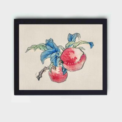 Elevate your decor with this stunning vintage art print of Peaches by Kono Bairei,displayed on the wall