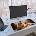 Fluffy brown cat sitting in a cozy indoor setting with warm colors and soft lighting. A computer and laptop are next to the desk pad