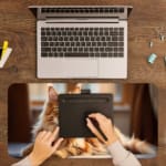 Fluffy brown cat sitting in a cozy indoor setting with warm colors and soft lighting. A writing pad on top of the desk pad