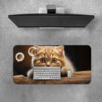 A cute light brown kitten resting on a wooden surface, with wide eyes and a dark background. Desk Pad with Keyboard and Mouse on top of the desk pad