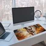 Border Collie running through an autumn forest with warm colors and fallen leaves. A computer and laptop next to the desk pad